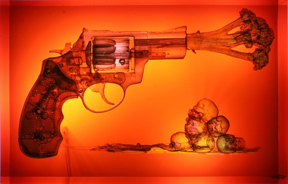 Gun Small 11 by David Cerny