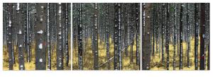 Winter Klimt Triptych (Wonderland Series) by Albert Delamour